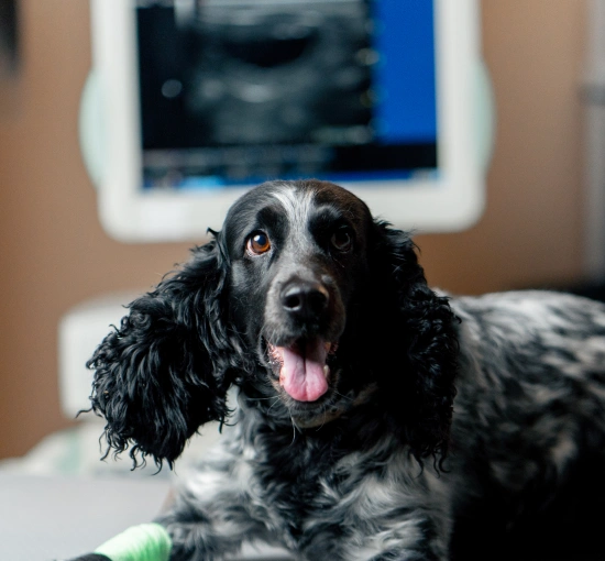 What Happens During a Diagnostic Lab Visit