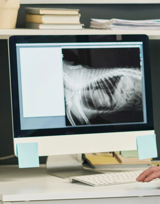 Advantages of Digital Radiology for Dogs