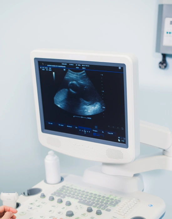 Benefits of Getting Ultrasound Imaging for Your Dog