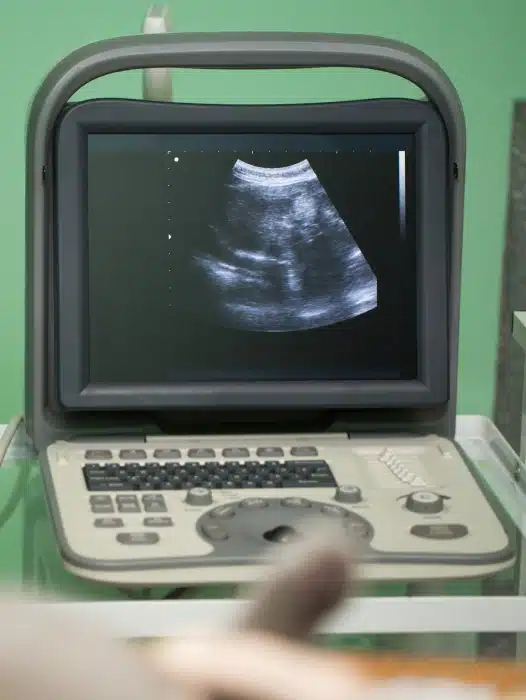In-House Pet Ultrasounds in Haymarket, VA
